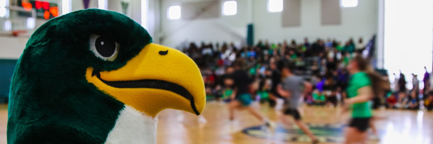 Ms. Tricia Klein banner