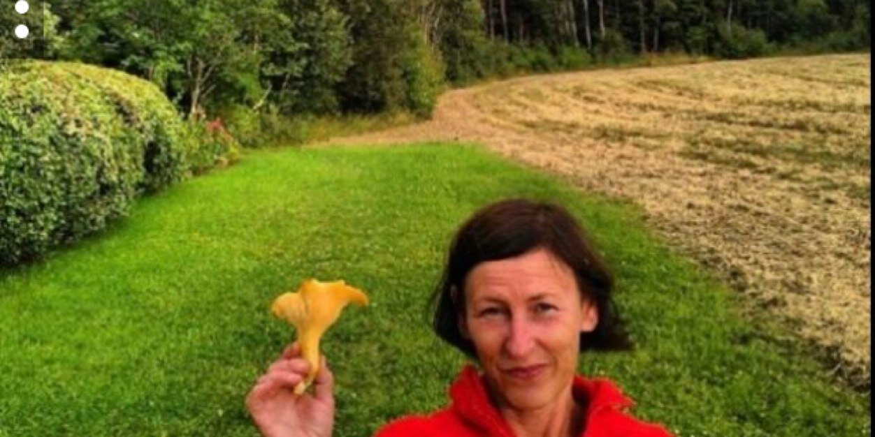 AgnesNelson's profile banner image