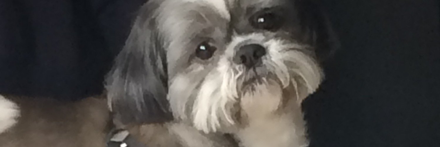 Muzzie_Behcet's profile banner image