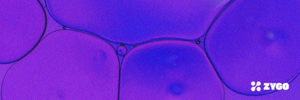 ZygoFinance Profile Banner