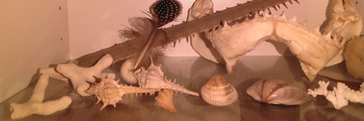 Henny van den Born 🎼🌍🌎🌏 banner