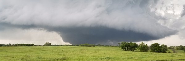 Papagolash Profile Banner