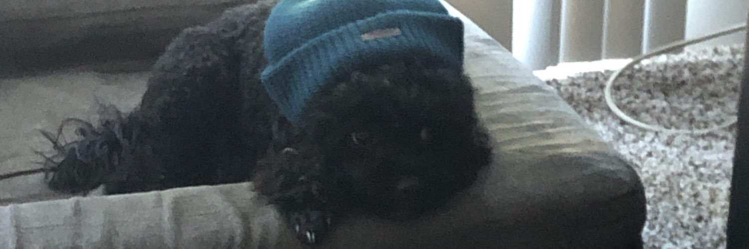 TeddyTeebh's profile banner image