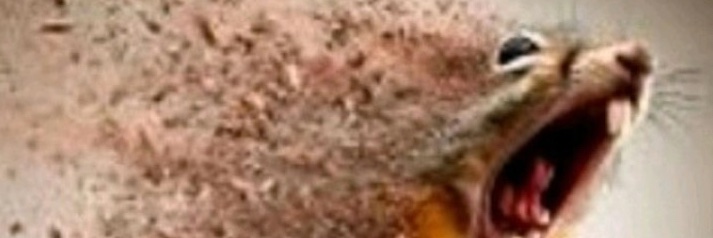 layaaXD's profile banner image