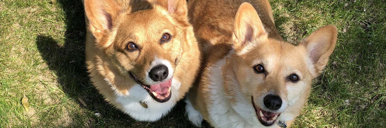 theycallmerew's profile banner image