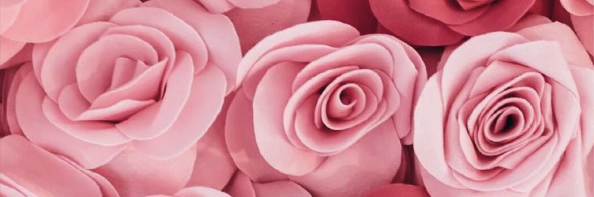 SydneyPerk12's profile banner image