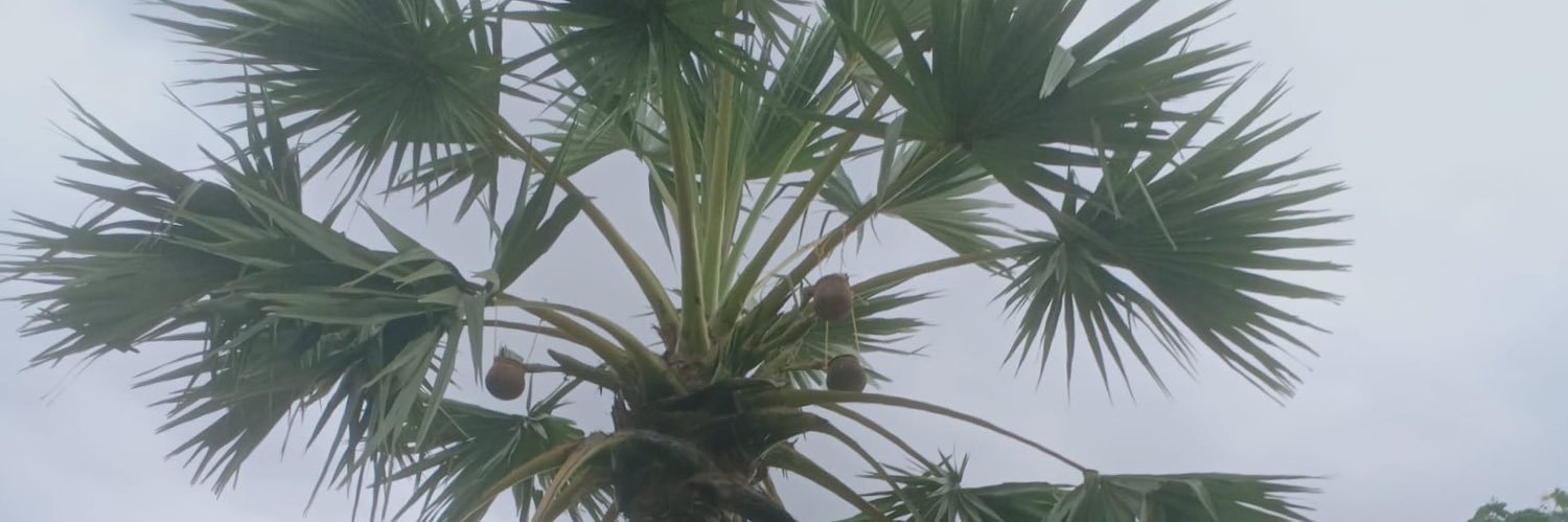 ppaulsam's profile banner image
