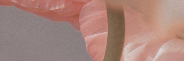 LFernanda17's profile banner image