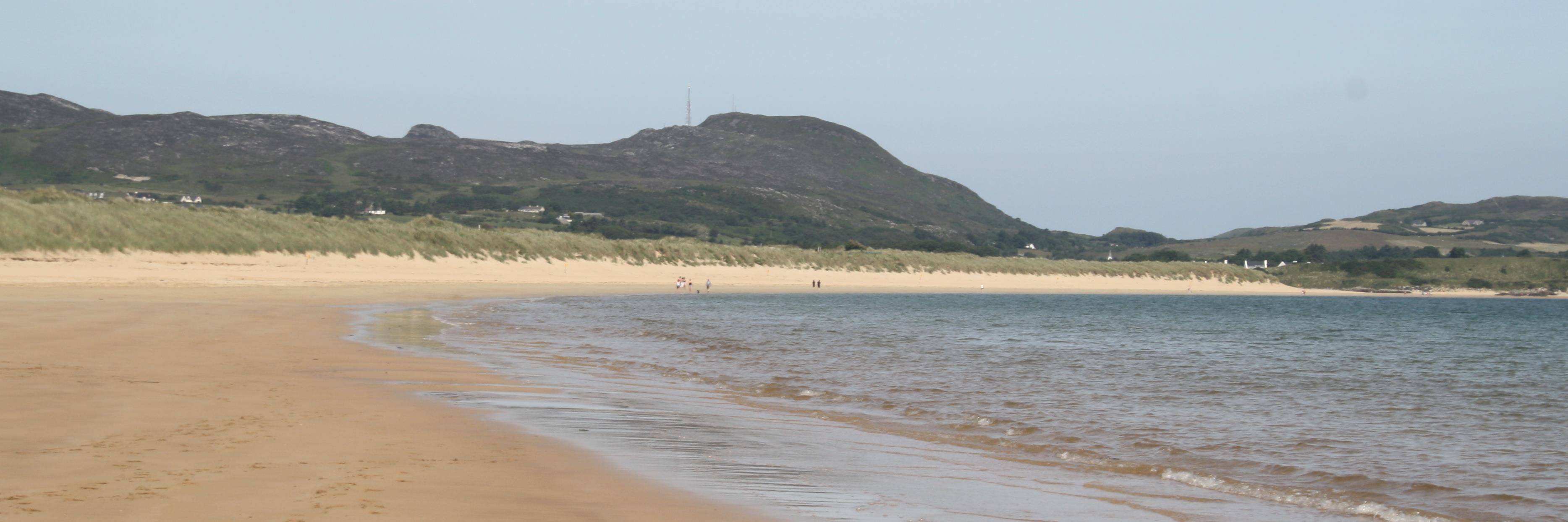 Helen Wilson 💙 banner