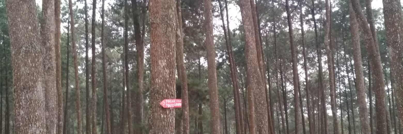 muhammadzickya's profile banner image
