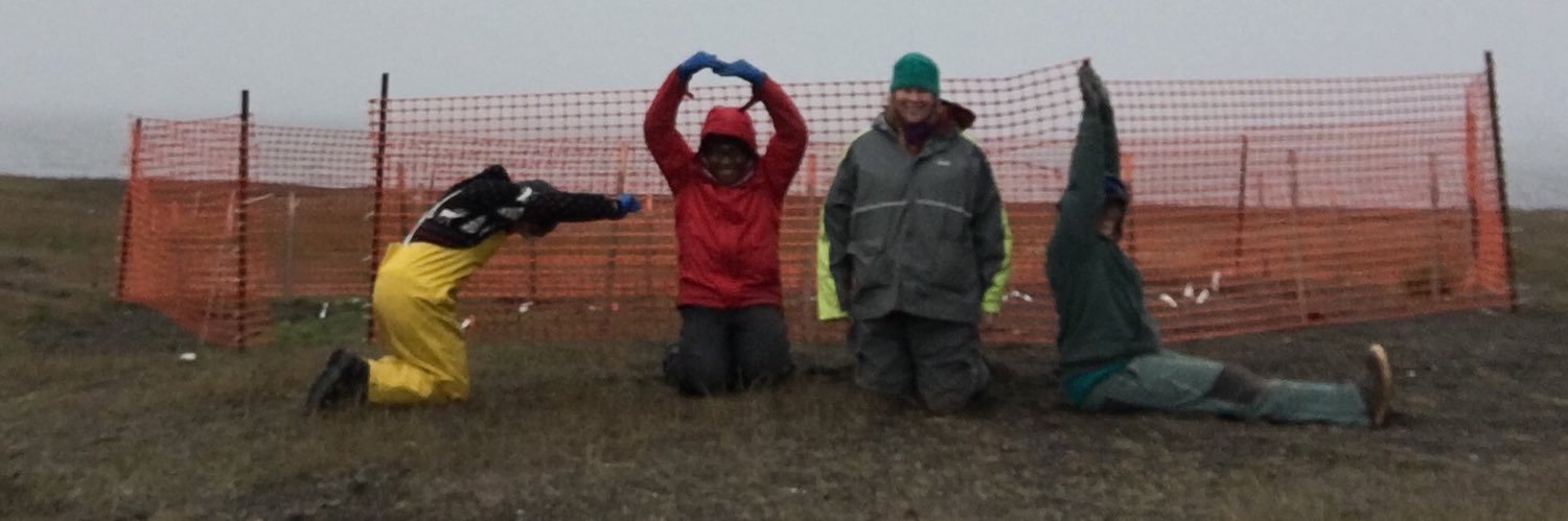 Robyn Barbato banner