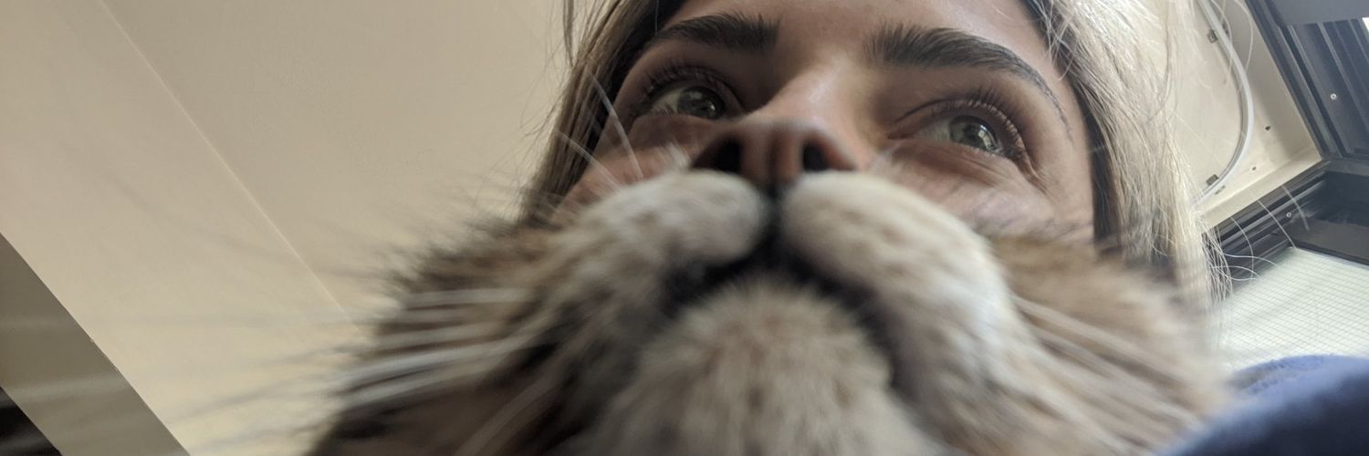 dwptrkz's profile banner image