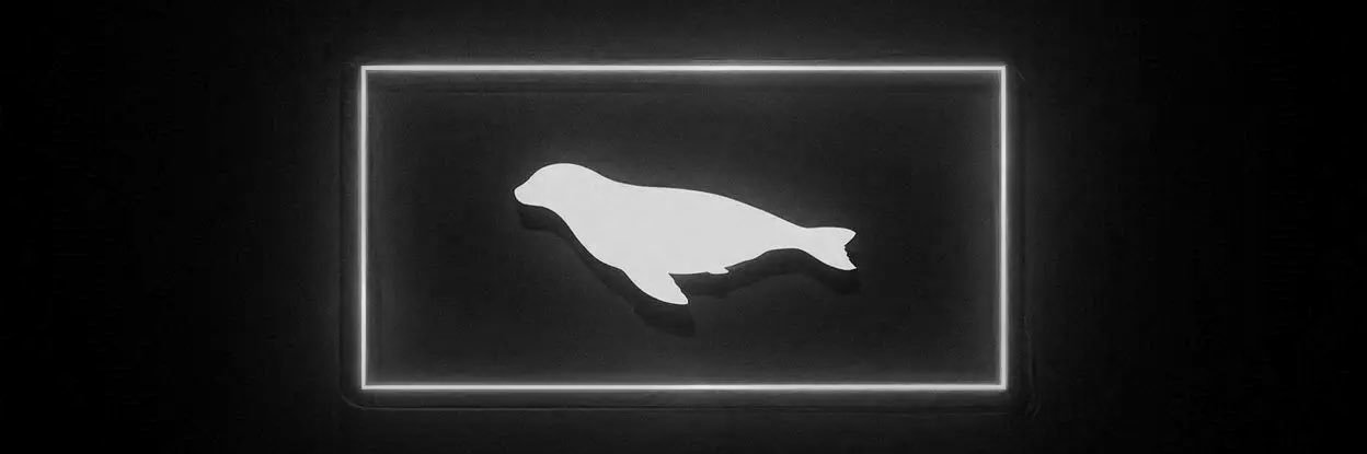 oε banner
