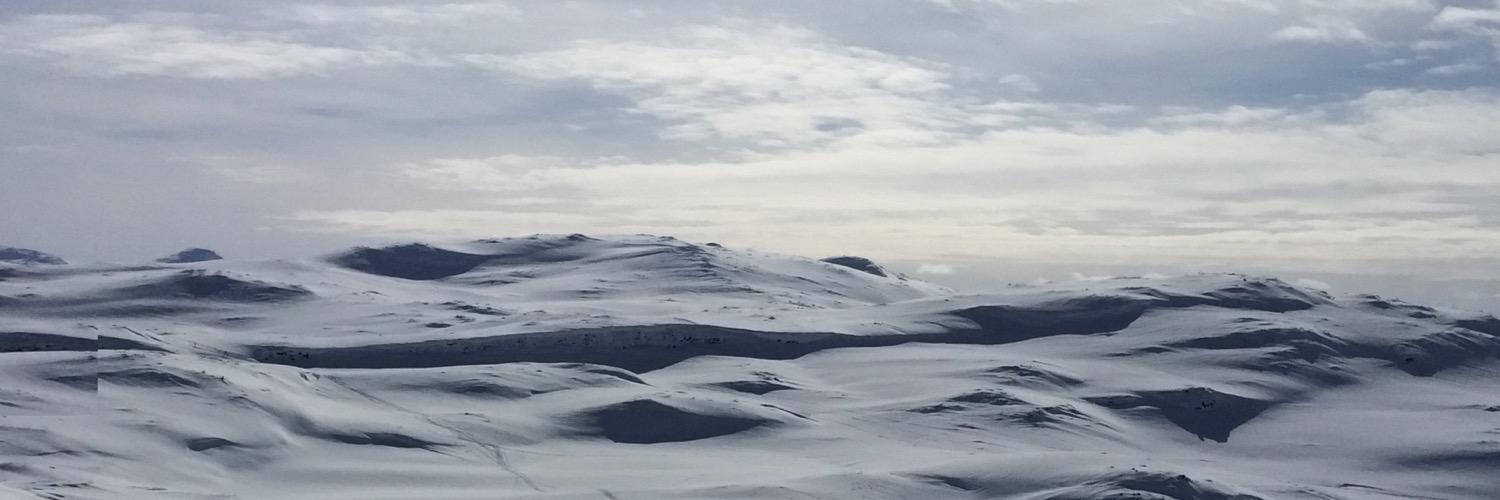 Jonas Øhlckers banner
