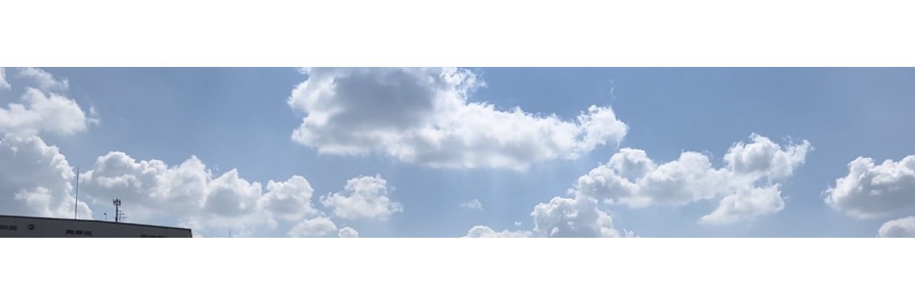 ぱんちゃん🐨Webライター･ブロガー banner