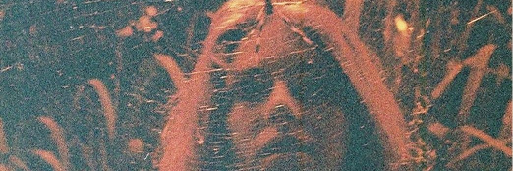 blitheliche's profile banner image