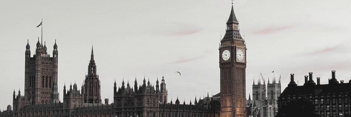 ‍‍‍ ‍ ‍ 𝒎𝒊𝒄𝒌 𝒗𝒆𝒓𝒉𝒐𝒆𝒗𝒆𝒏. banner