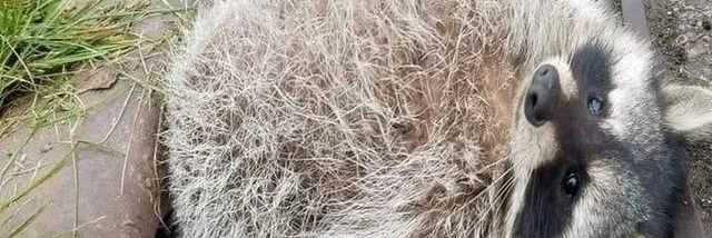 Lucien (ดอคผ่าน/ยืนยันแล้ว) banner