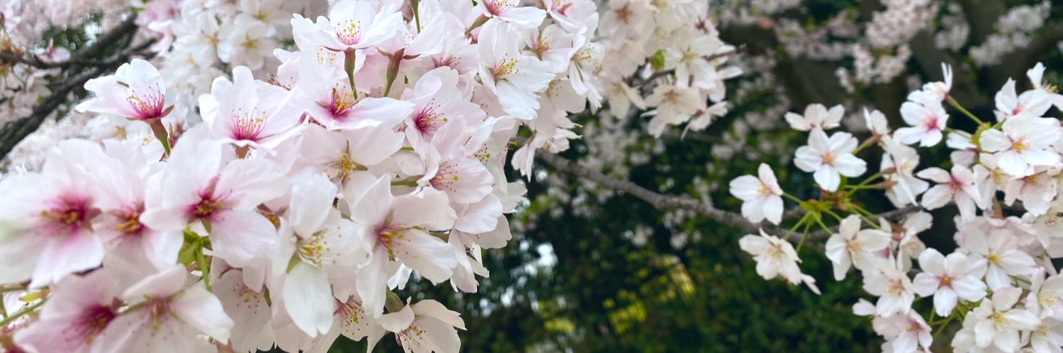 しお／塩分 banner