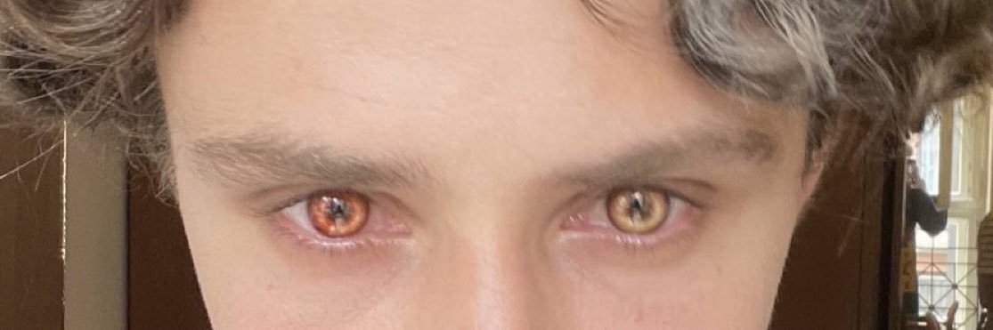 Nicolas de Lenfent Archive banner