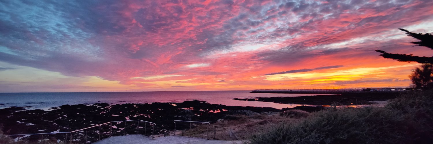 Ashashin 🐟🌸 banner