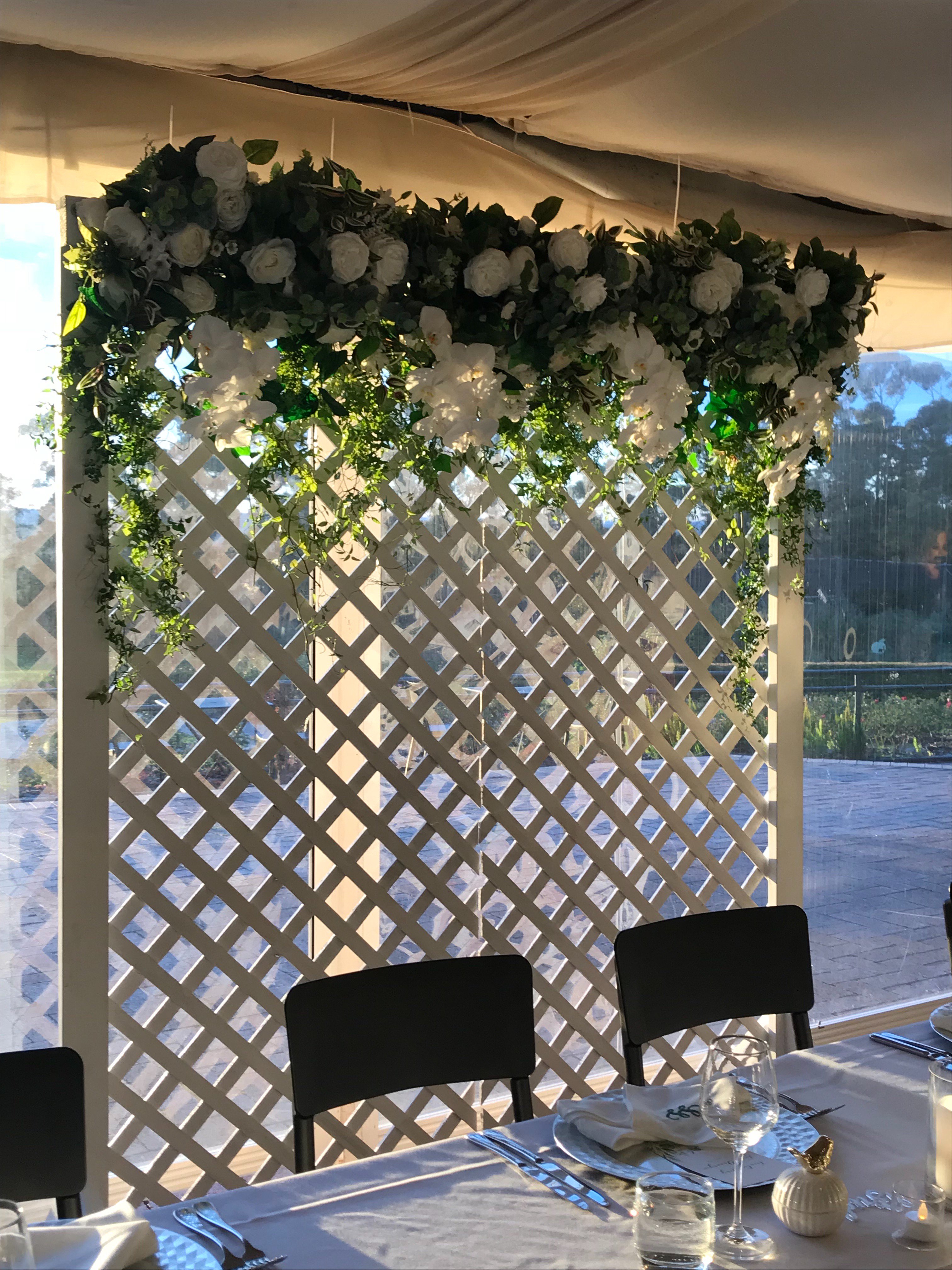 bellainbloom's profile banner image