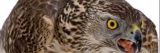198jamil's profile banner image
