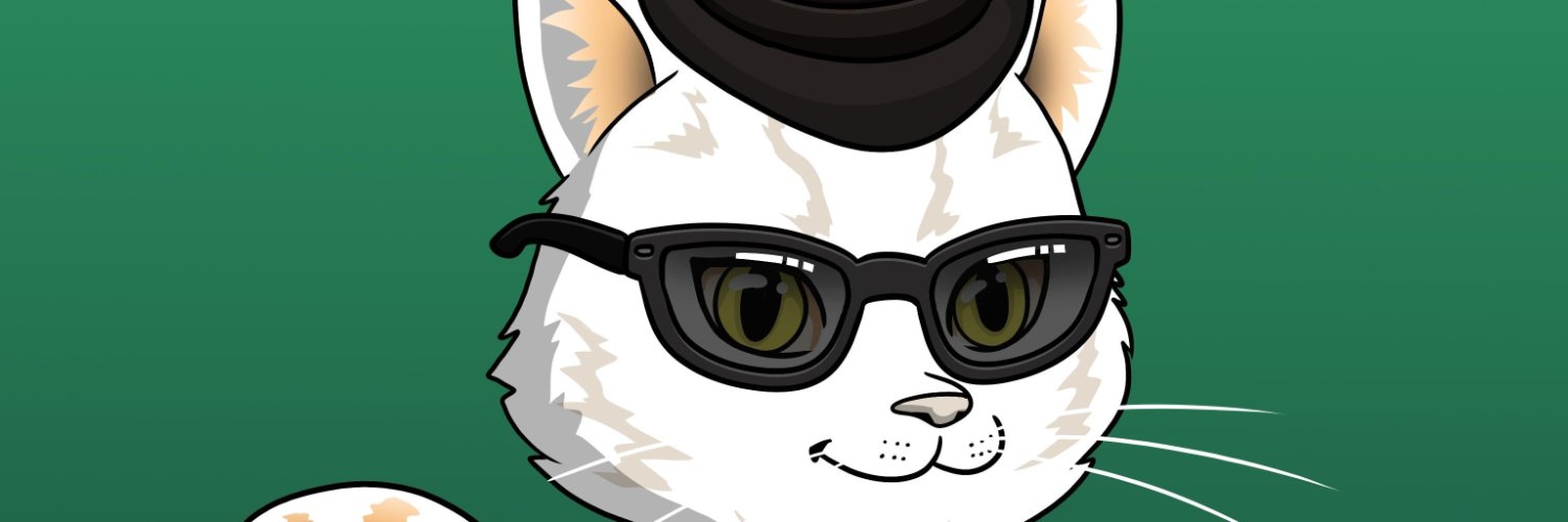 Gizmcicek's profile banner image