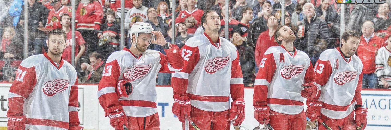RedWingGurl's profile banner image