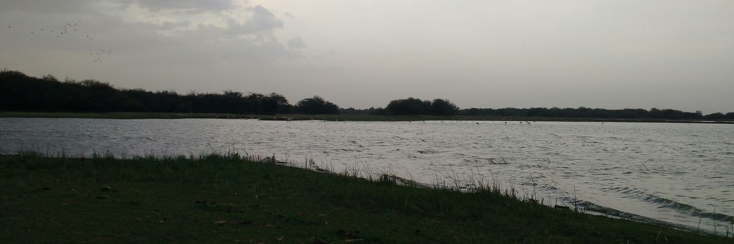 pratincole_'s profile banner image