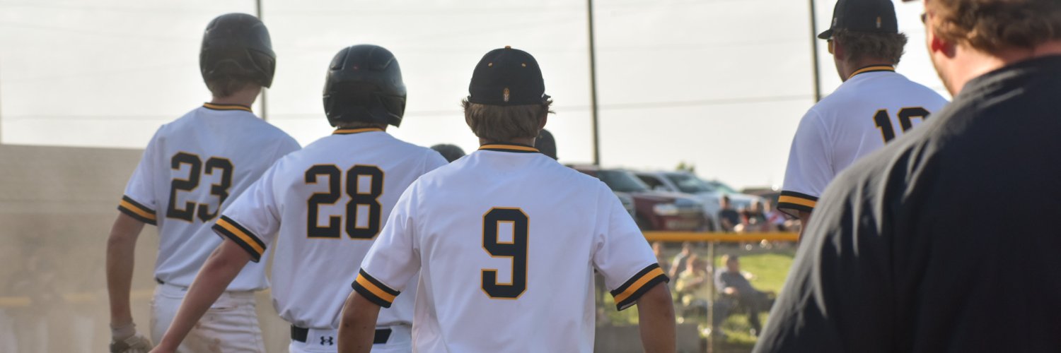 AGP Baseball banner