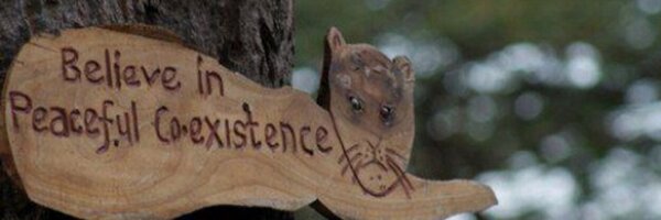 _tharkuri Profile Banner