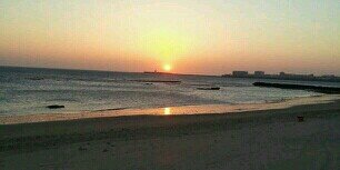 Ripoll Reggae banner