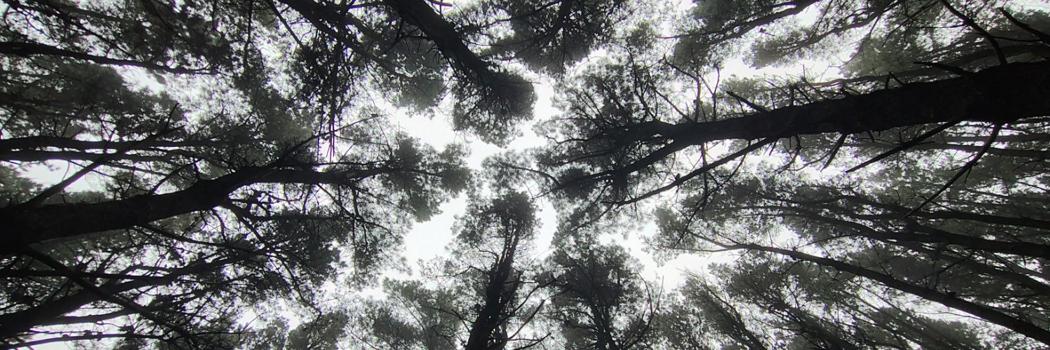 Cristian Gutierrez banner