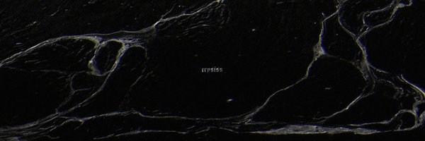 xCrysiss Profile Banner