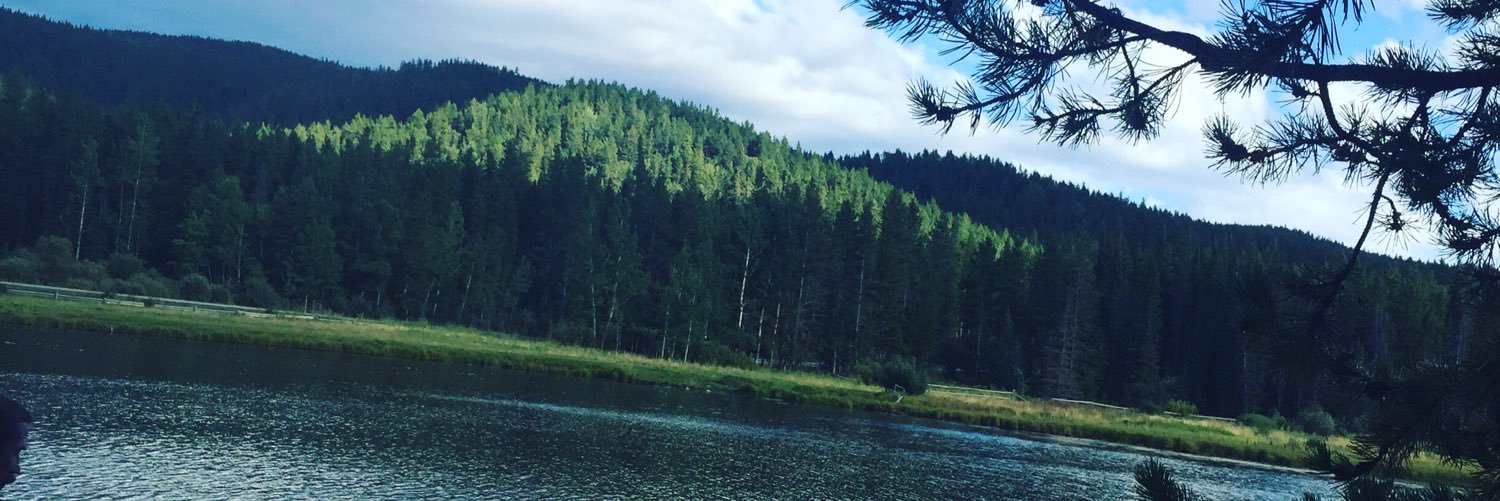 valiaig's profile banner image