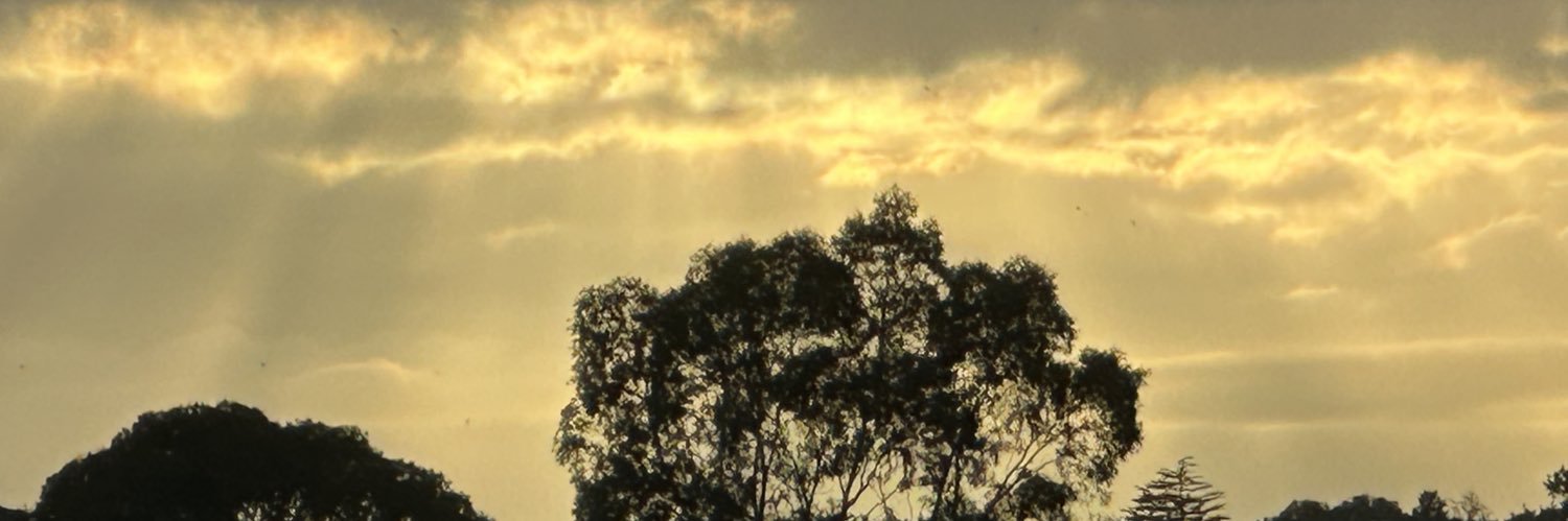 johnnydods_'s profile banner image