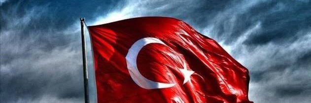 mozer4141617's profile banner image