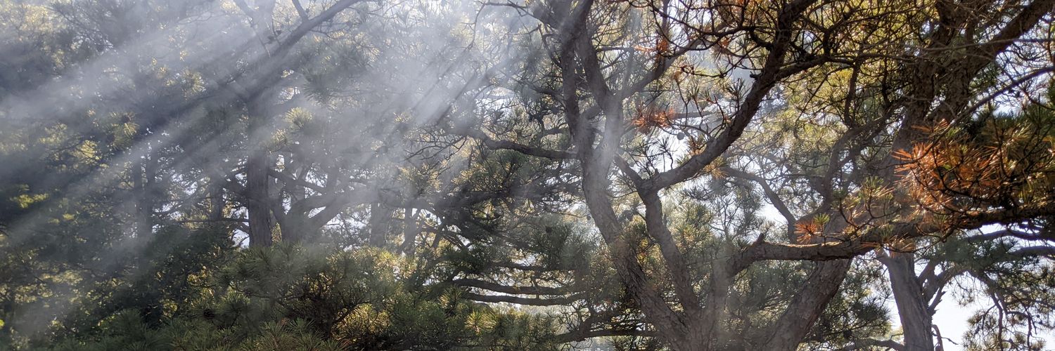 GavinNDeWire's profile banner image