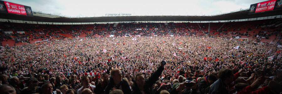 Damo Coz banner