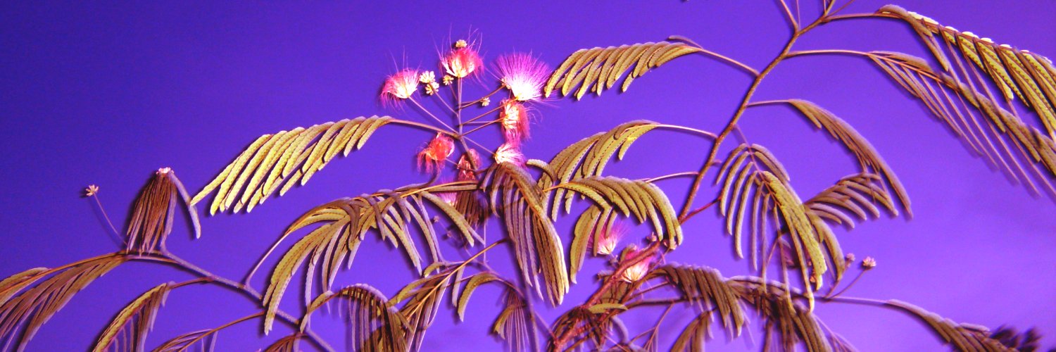 Twee pop girl's banner
