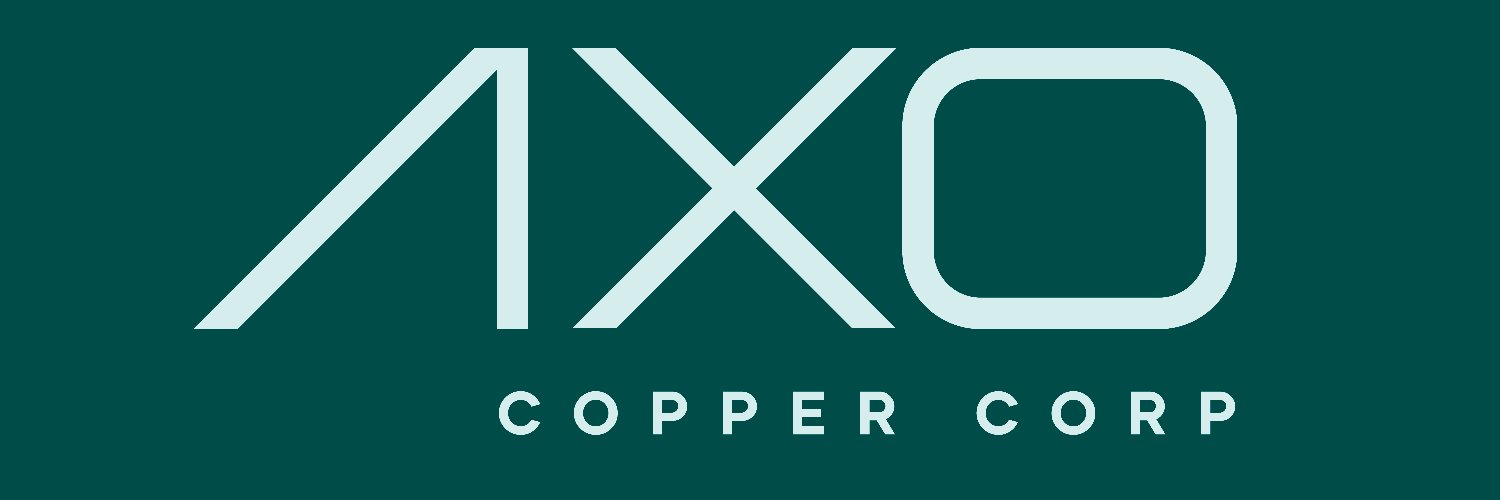 AXO Copper banner