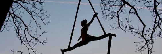 S- banner