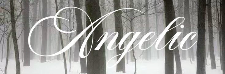 coraalive's profile banner image