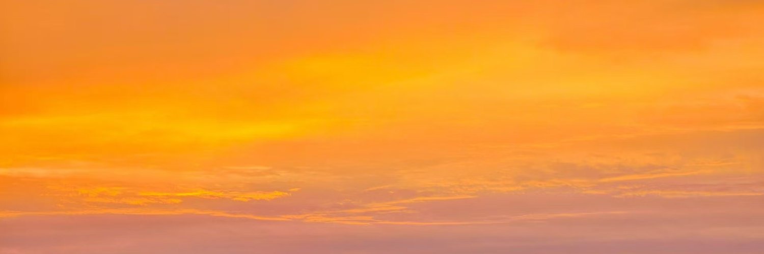 Sandidaha's profile banner image