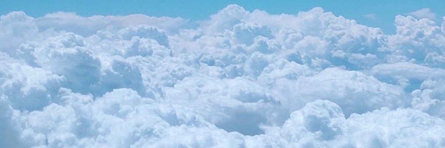 Tai Altera 🛫 banner