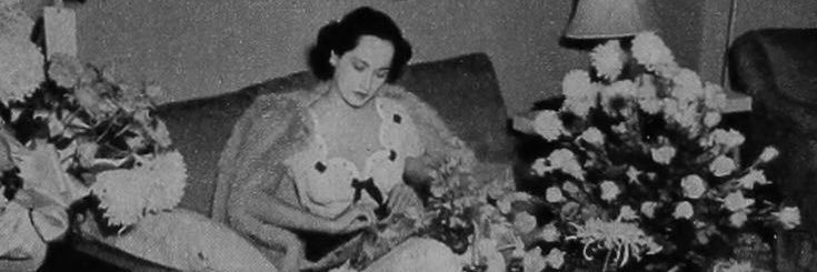MerleOArchive's profile banner image