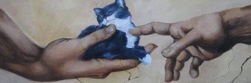 Gkko 约翰🧠😎🍷🫖 banner