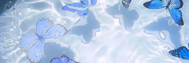 Papillon The Cloud. banner