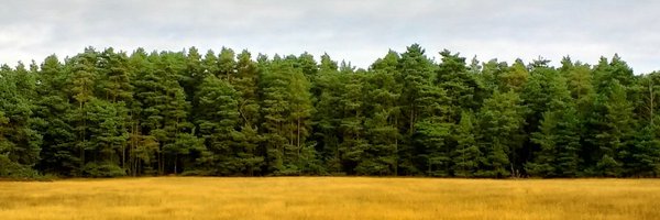 hknbgc Profile Banner